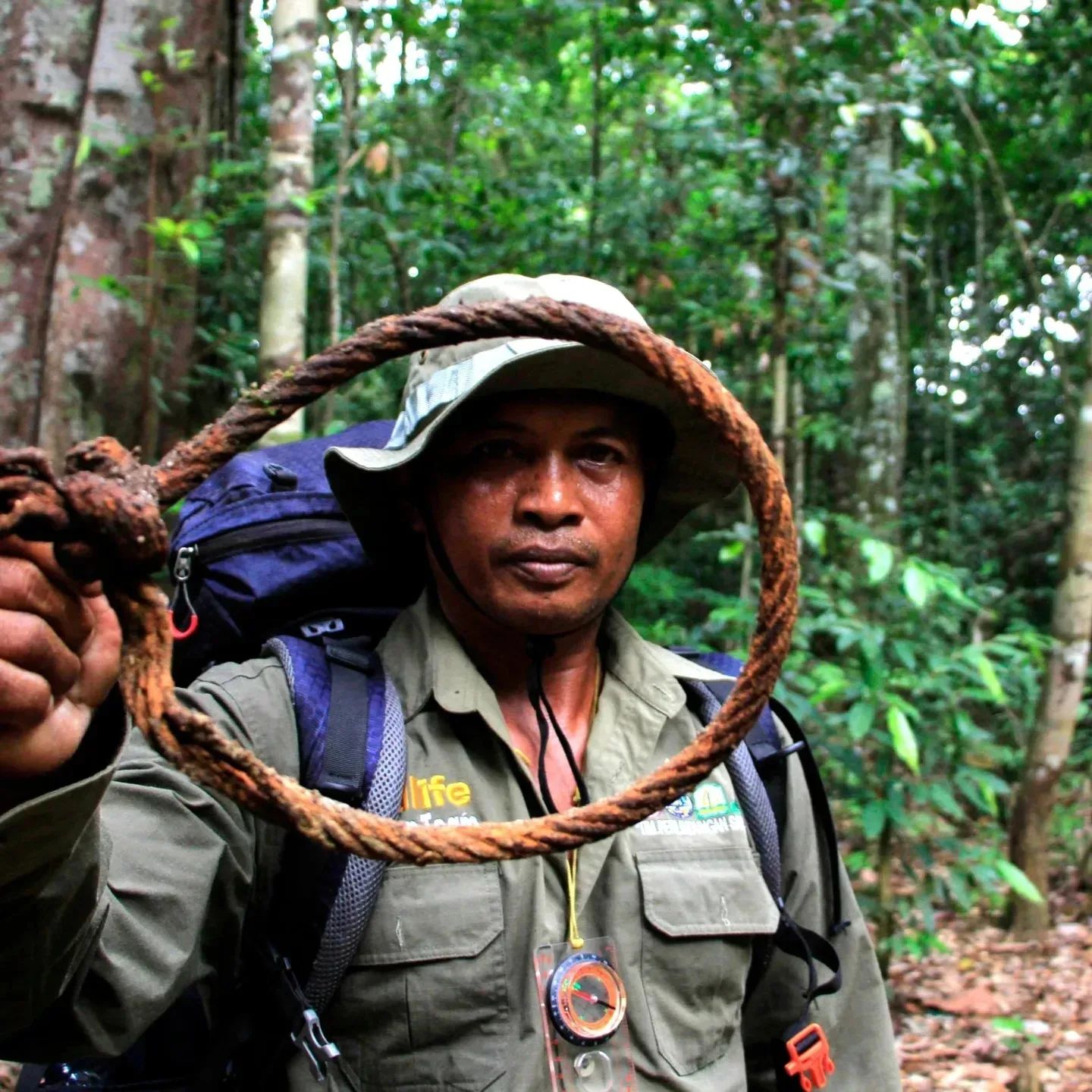 A ranger holding a snare removed from the forest